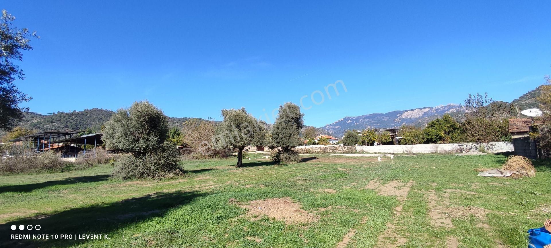 Milas Selimiye Derince'de Köyiçi İmarlı Satılık Arsa - Görsel 6