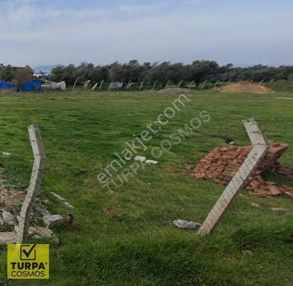 Bayındır Arıkbaşı Tren Yolu Yakını Zeytinlik Tek Tapu 1.878m2