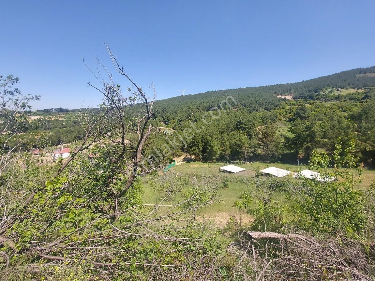 Turyaptan Damlacıkta Satılık 1367 M2 Müstakil Tapulu Tarla
