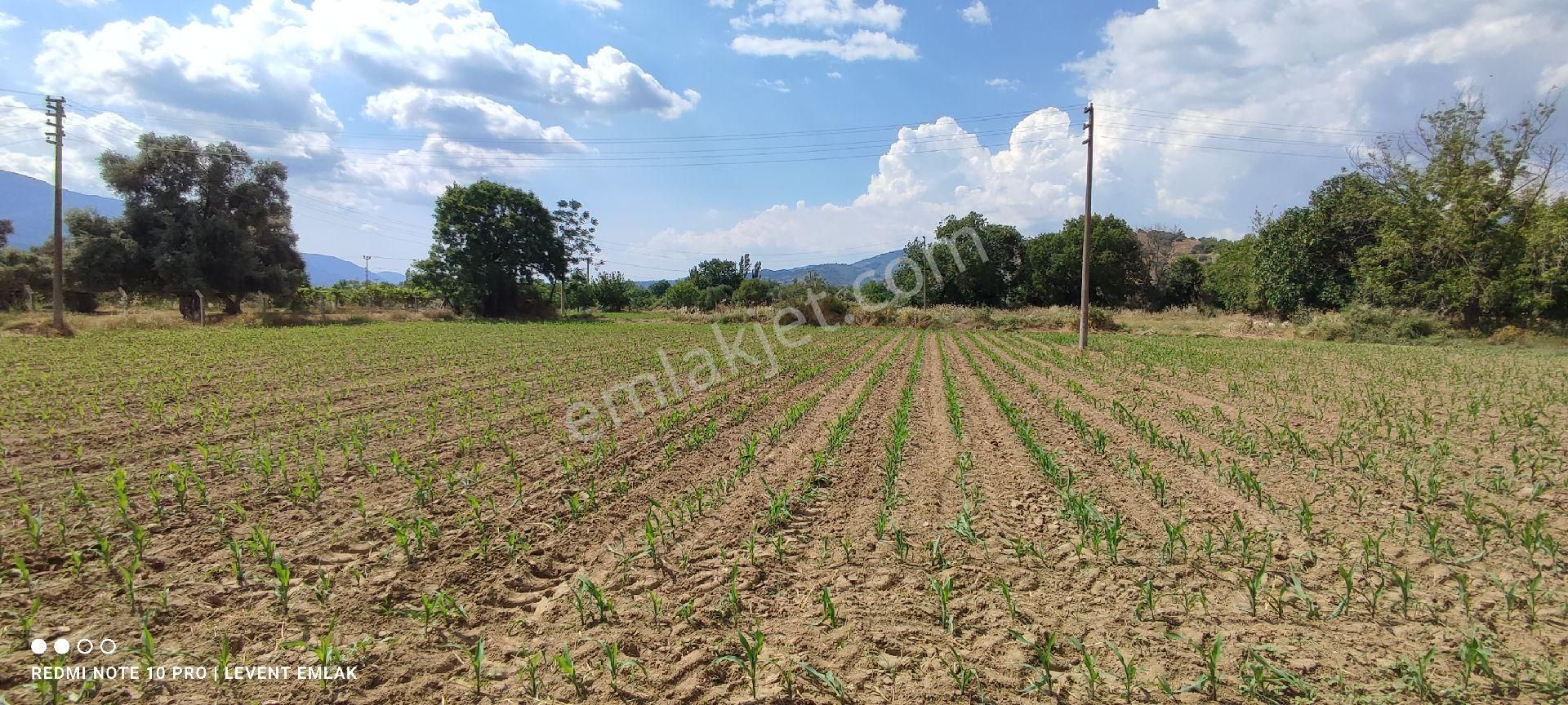 Milas Selimiye'de 3 Kat Konut İmarlı Satılık Arsalar - Görsel 6