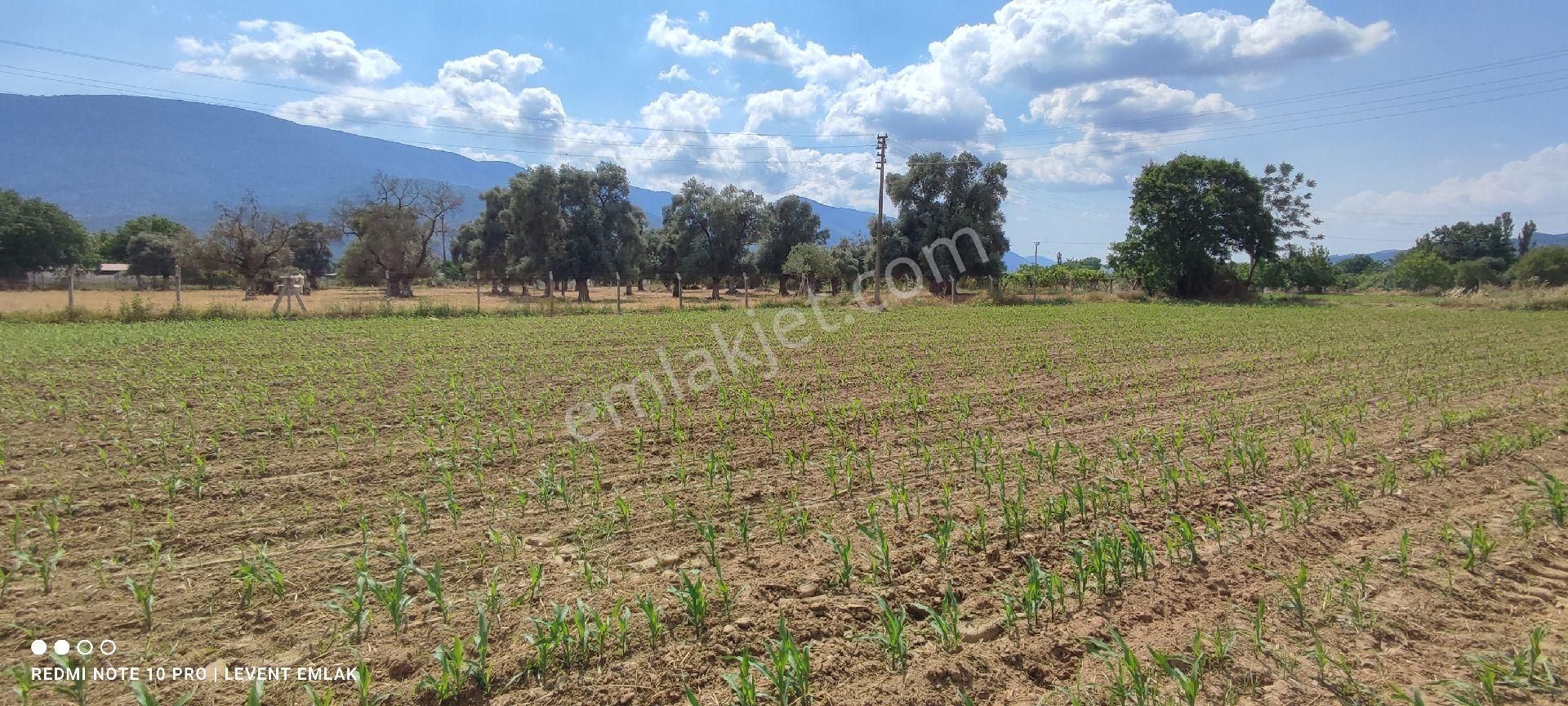 Milas Selimiye'de 3 Kat Konut İmarlı Satılık Arsalar - Görsel 7