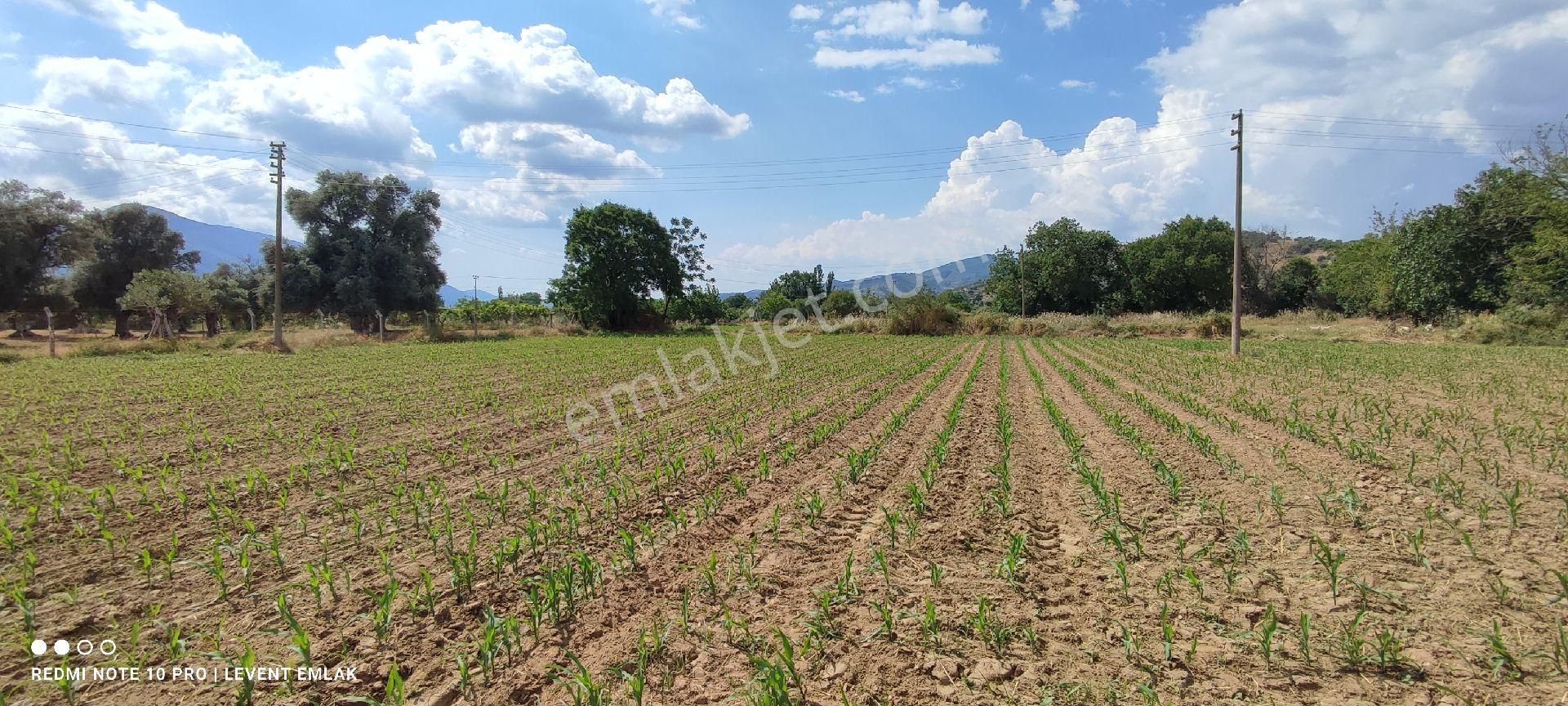 Milas Selimiye'de 3 Kat Konut İmarlı Satılık Arsalar - Görsel 5