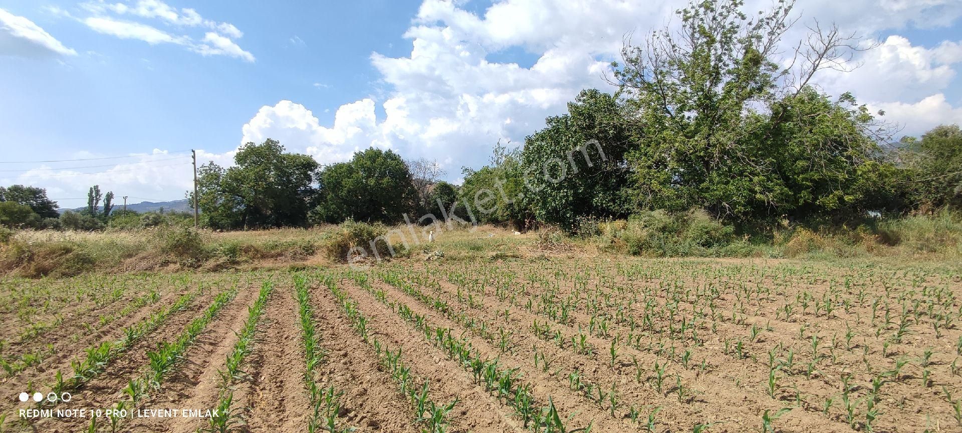 Milas Selimiye'de 3 Kat Konut İmarlı Satılık Arsalar - Görsel 4