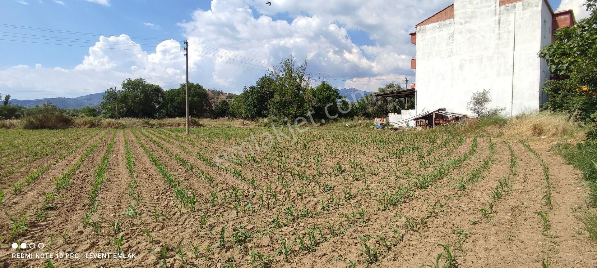 Milas Selimiye'de 3 Kat Konut İmarlı Satılık Arsalar - Görsel 3