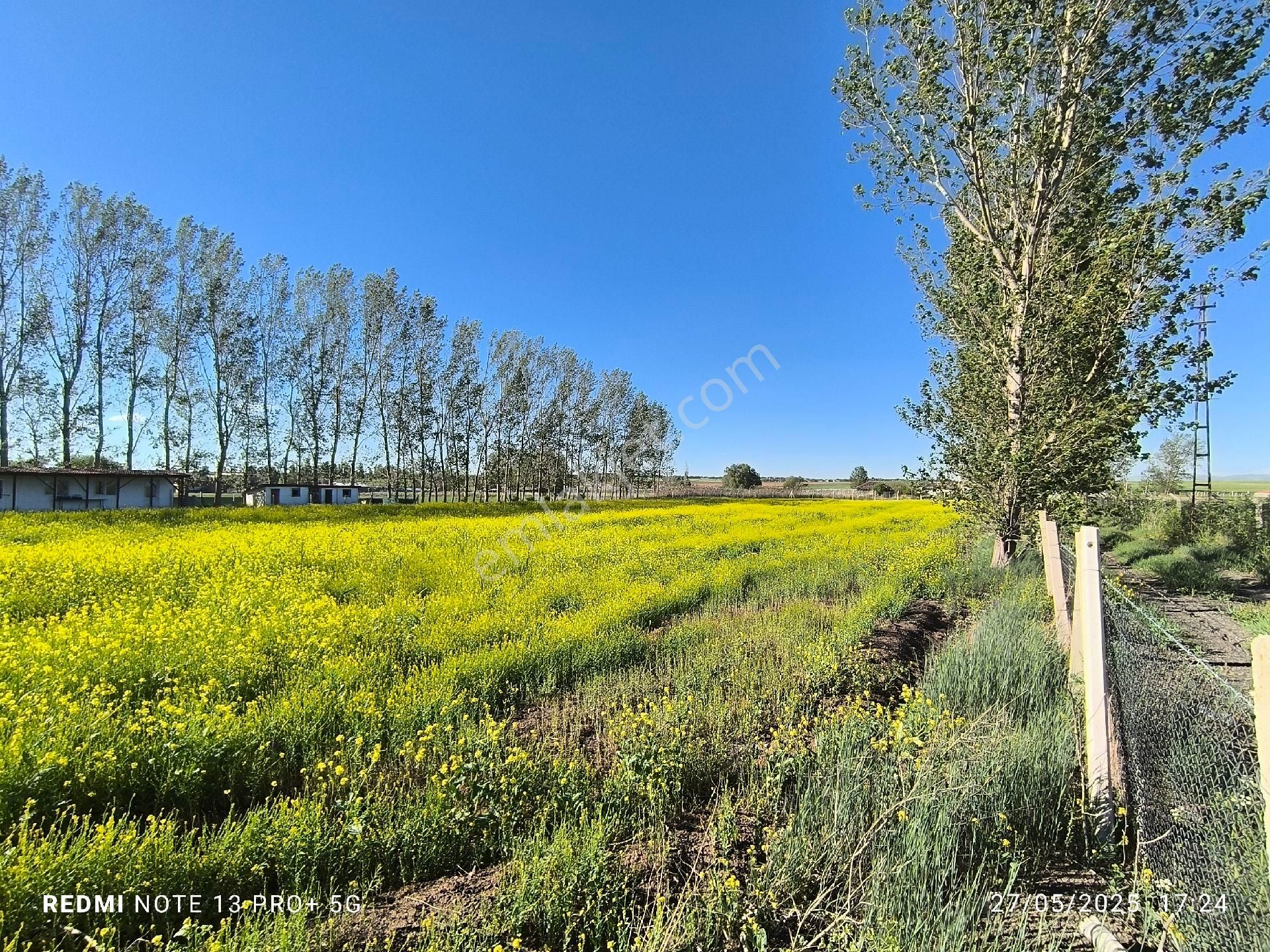 Gölbaşı İkizcede 9460 M2 Arsa Ve Dubleks Çiftlik Evi - Görsel 24