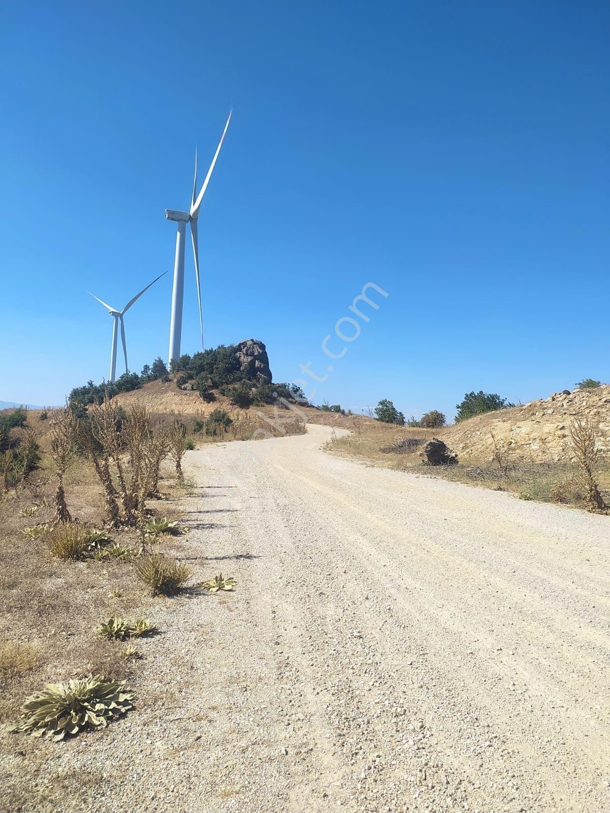 Bagcıllı Kutluca Mahallesi Bahçe