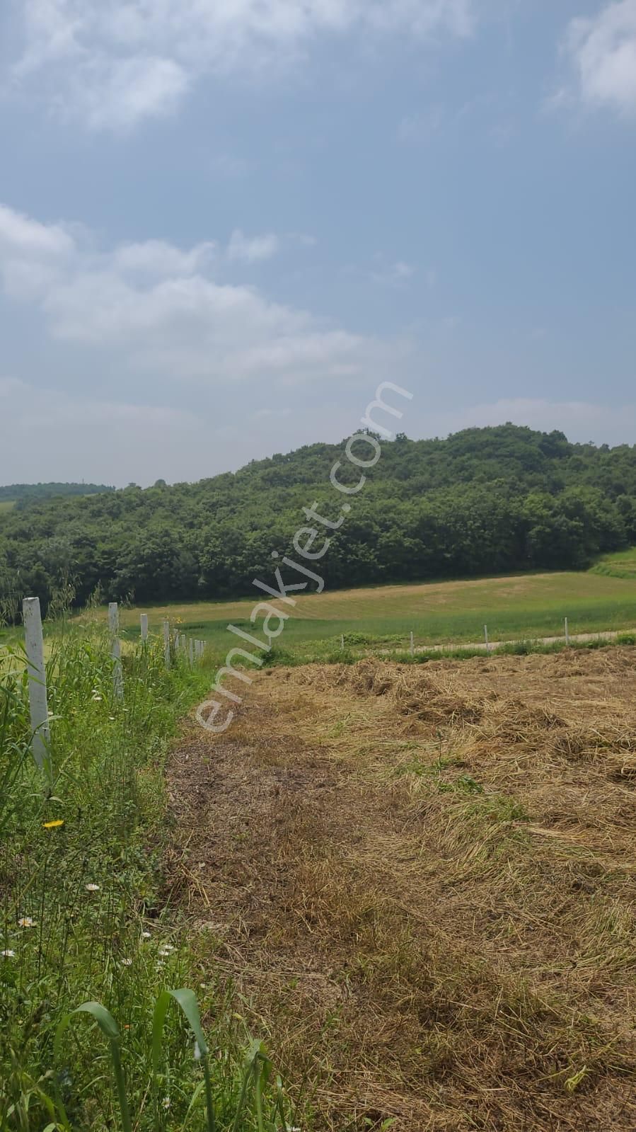 Muhammed Saltan Dan Kandıra Kanatlar Da Yola Cephe - Görsel 2