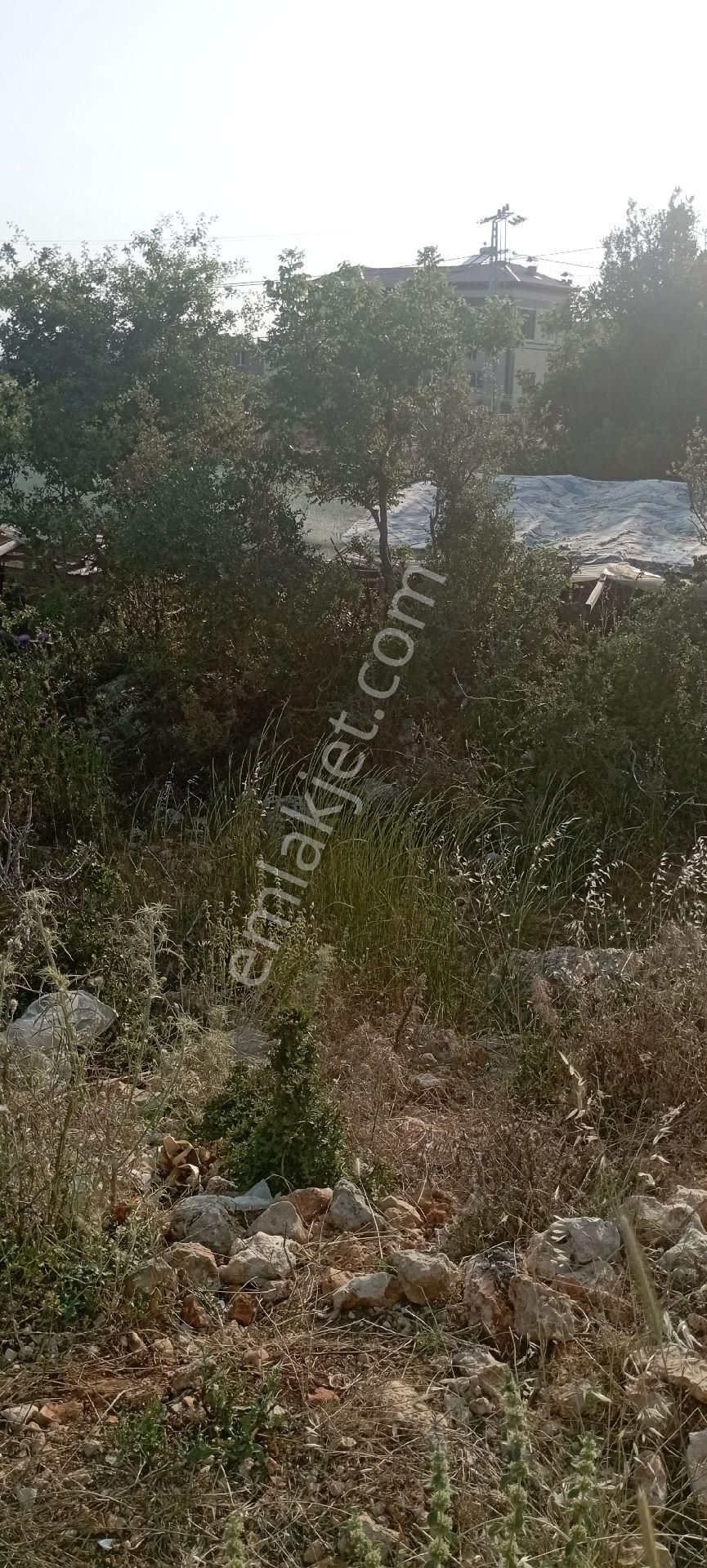 Arsa 650 M2 Aslanlı Mahallesi Erdemlii - Görsel 6