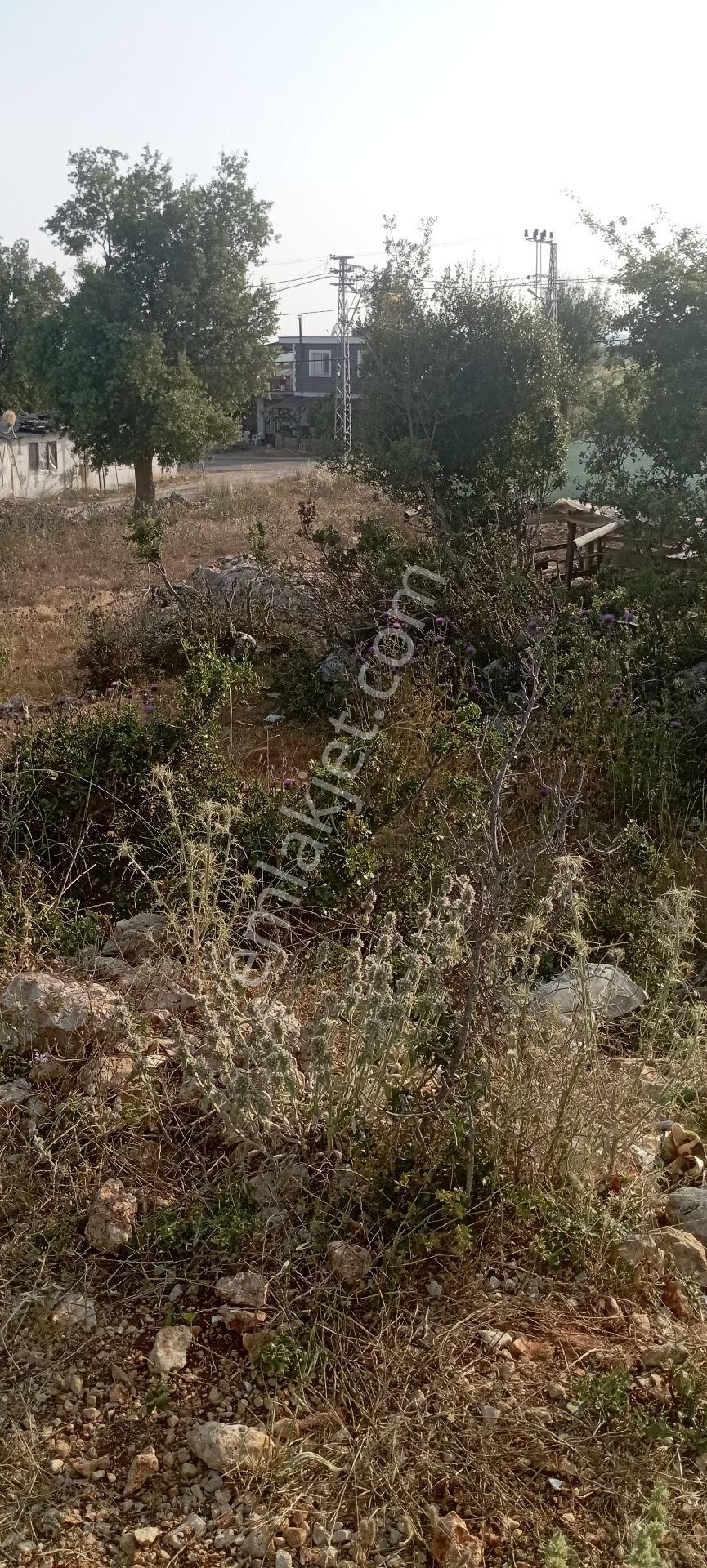 Arsa 650 M2 Aslanlı Mahallesi Erdemlii - Görsel 3