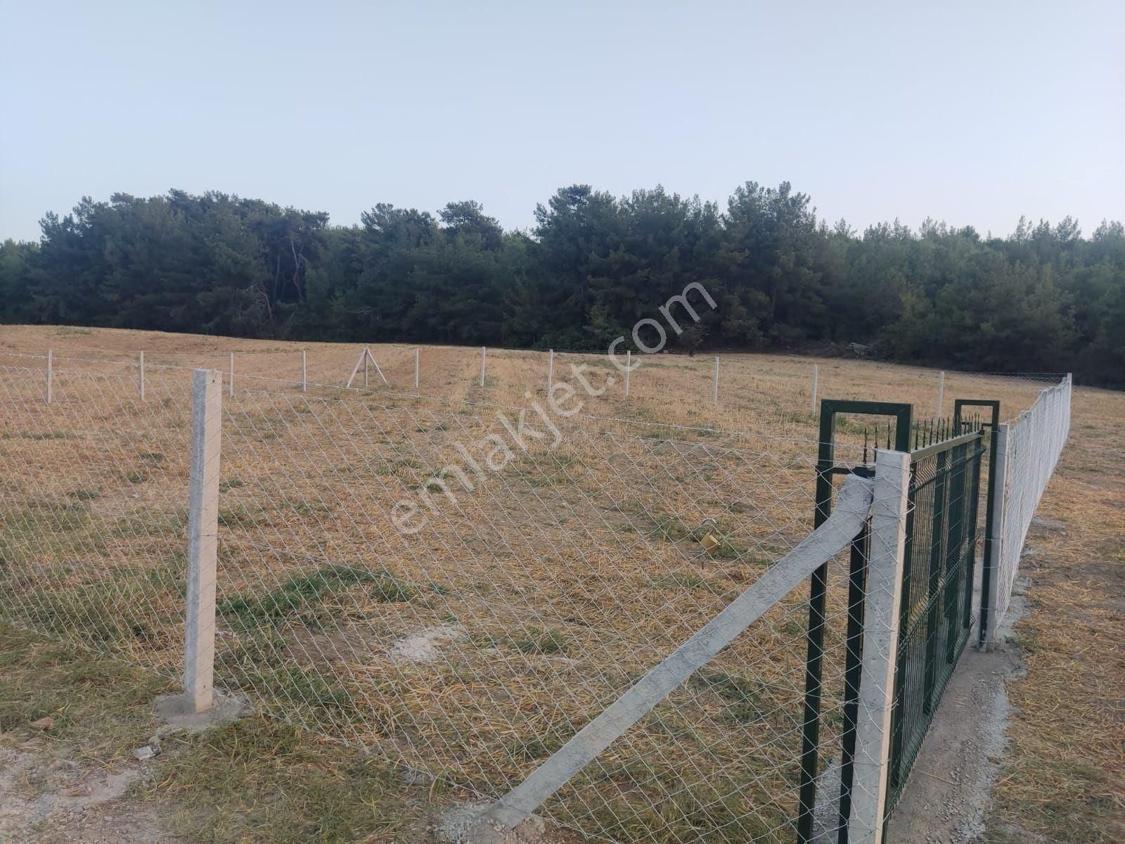 Acil Kuşadası Kirazlı'da 733m2'den Hobi Bahçesi, Tıny House 2 Ayrı Tapulu