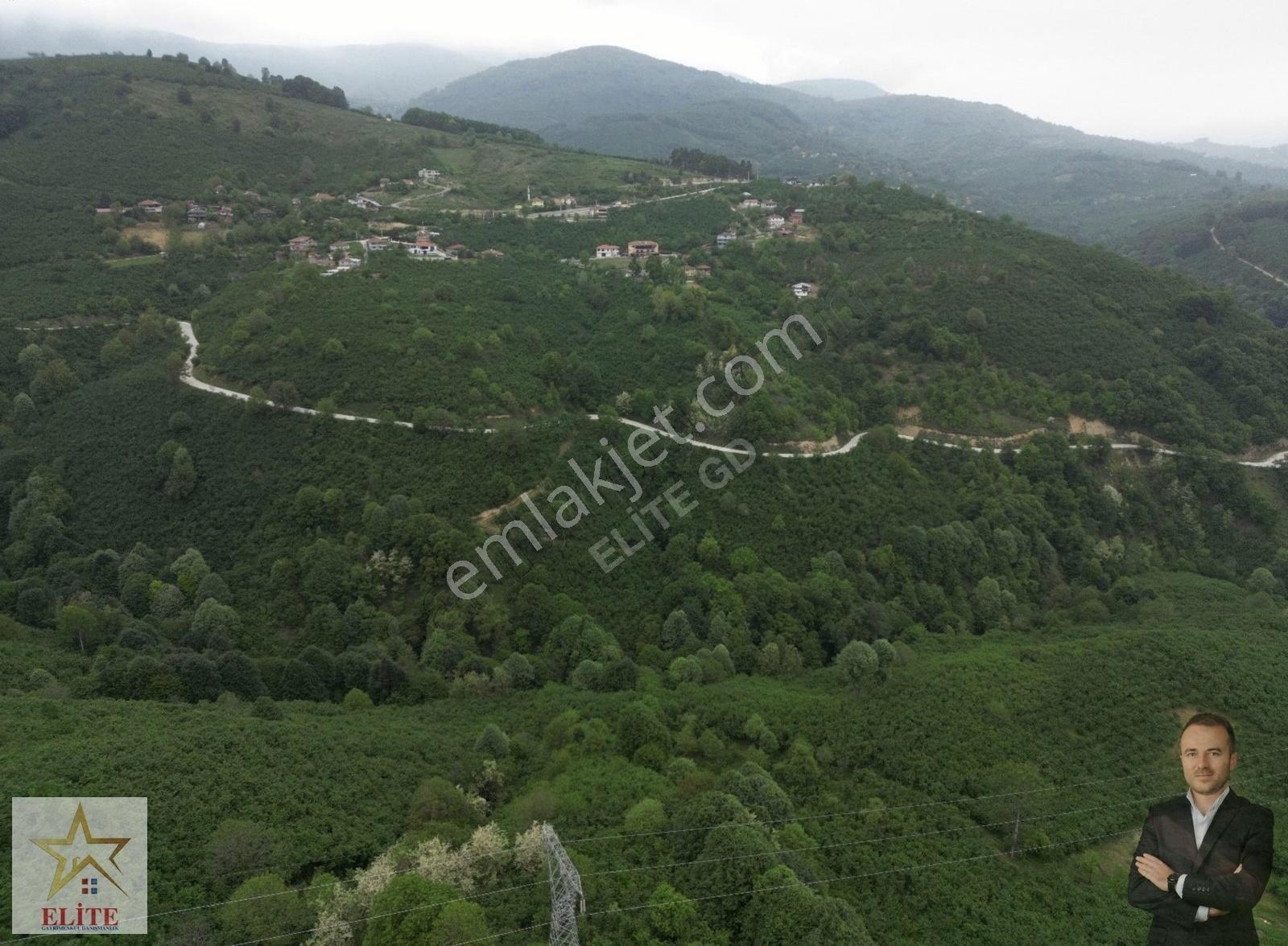 Elite Gd & 3025 M2 Kadastro Yolu Olan Bölgenin En Uygun Fındık B - Görsel 7