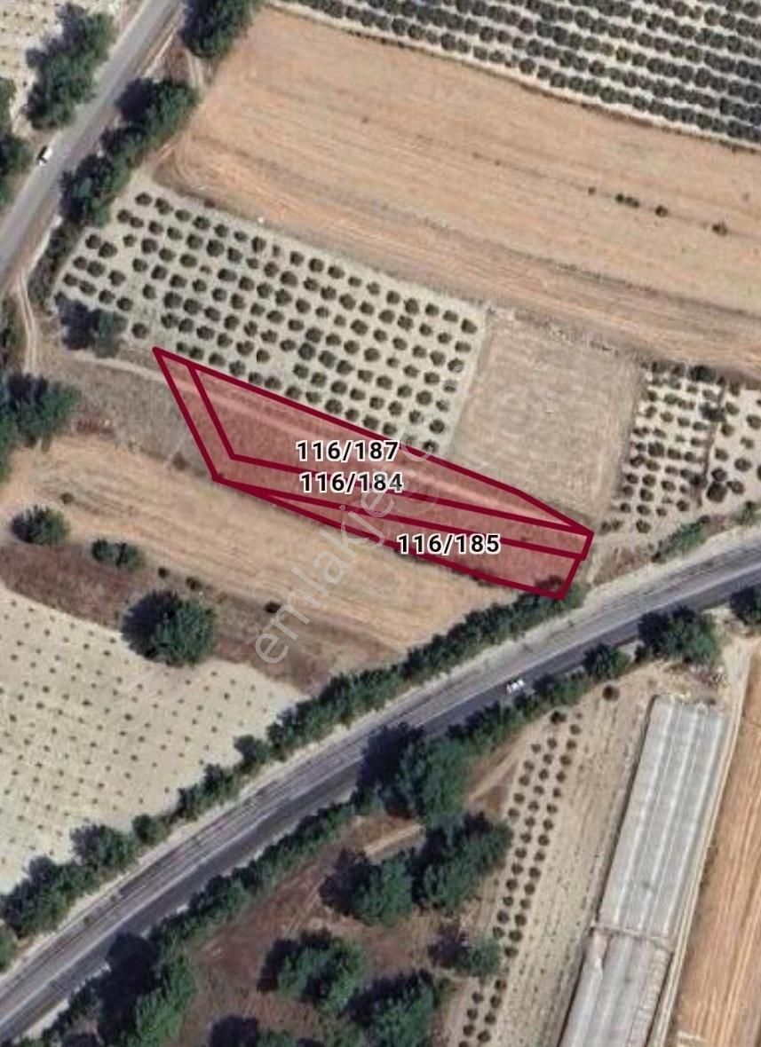 Mercan Gayrimenkul'den Eşen Yola Cephe Tek Tapu 2.300m2 Tarla