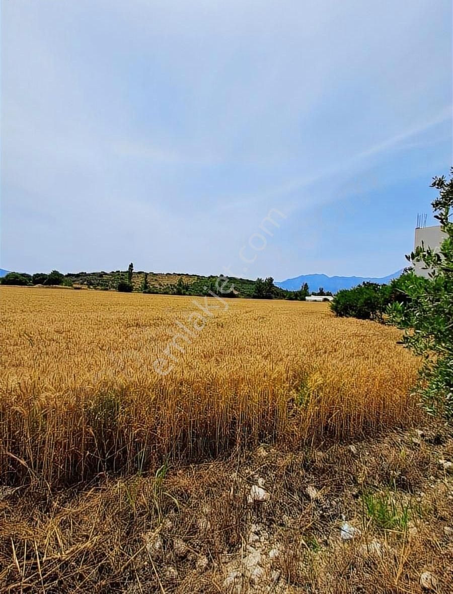 Mercan'dan Döğer'de 18.600m2 Müstakil Tapu Tarla