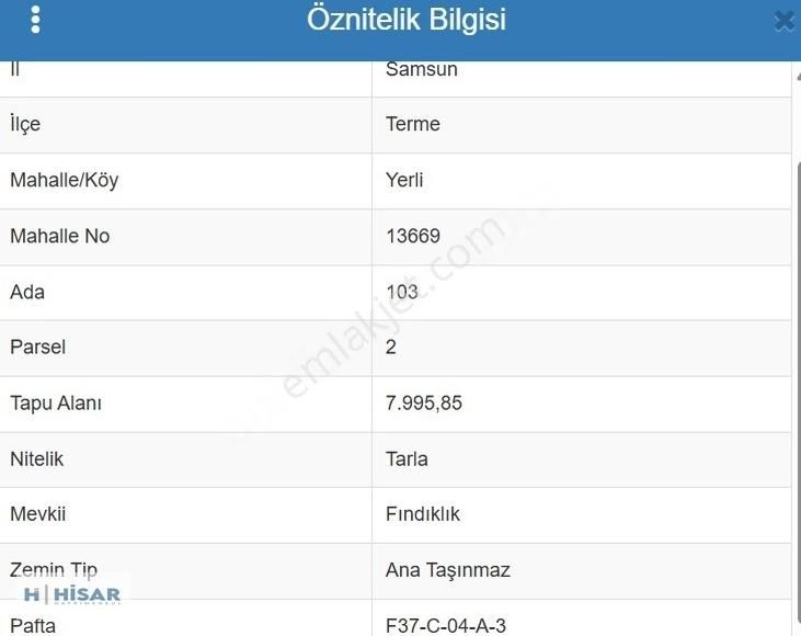 Terme Yerli Köyü Satılık Fındık Tarlası