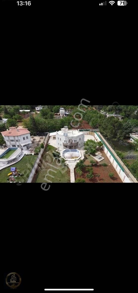 Baron Dan Kızılhısarın Gözbebegi