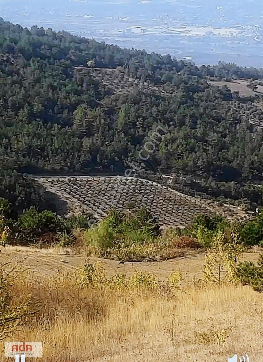Ada Gayrimenkulden Geyve Alıplar Mah 6700m2 Yatırımlık Arazi