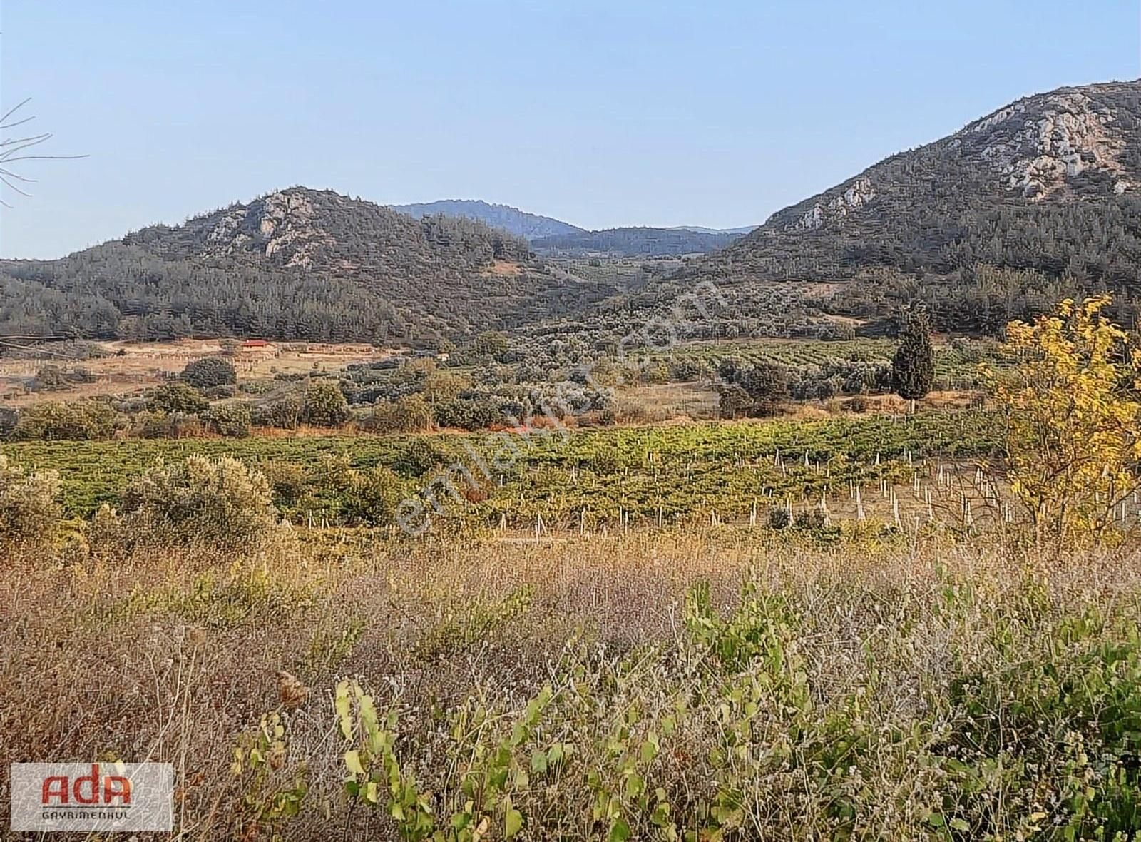 Ada Gayrimenkulden Umurbey Mah.2150m2 Kupon Arazimiz Satılıktır