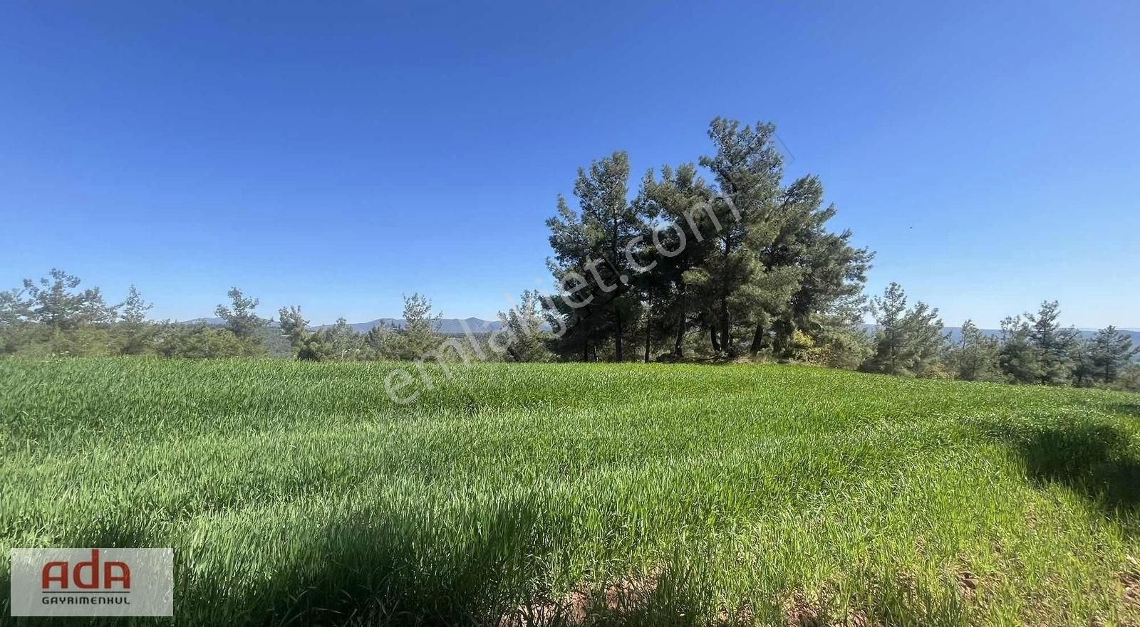 Ada Gayrimenkulden Geyve Sekıharman Mah.2080m2 Yola Cephe