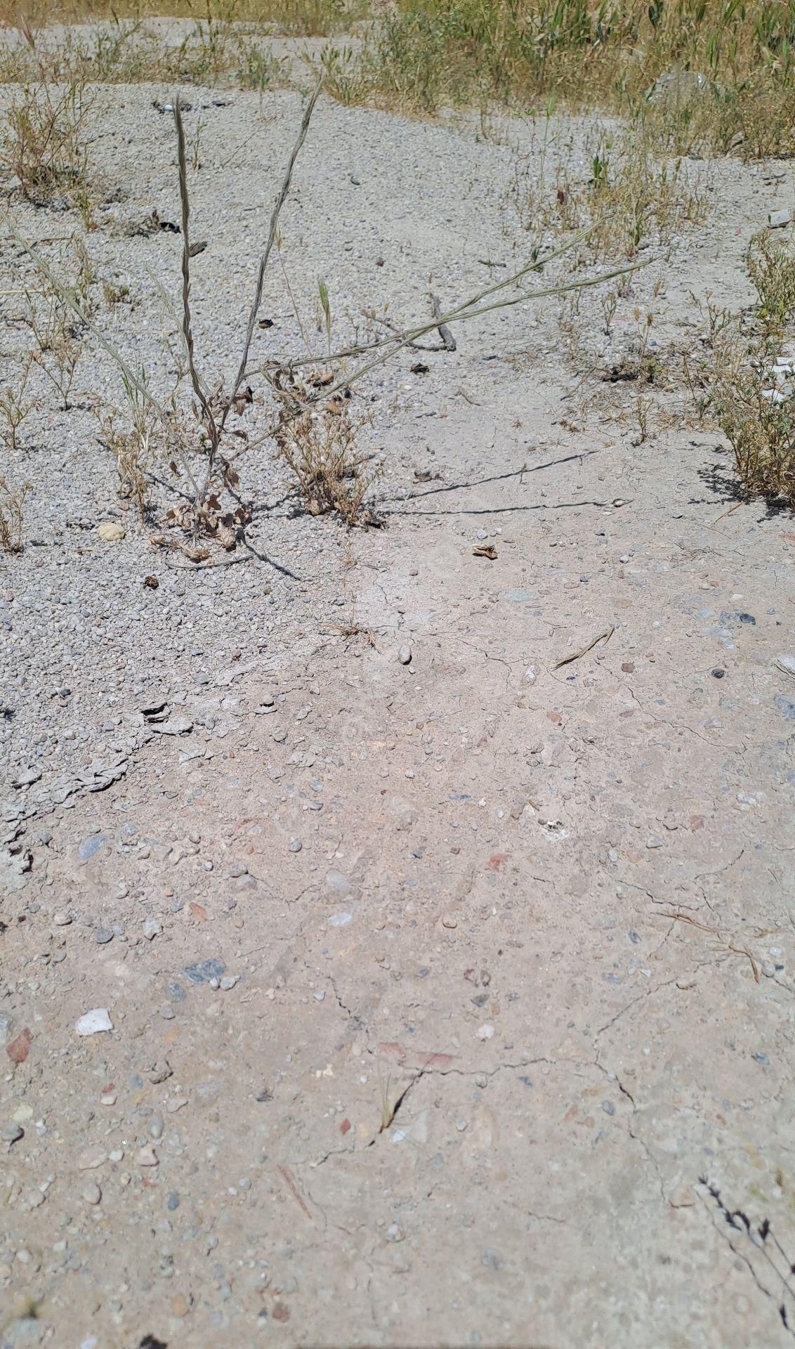 Denizli Honaz Kaklık Mahallesinde Satılık Arsa