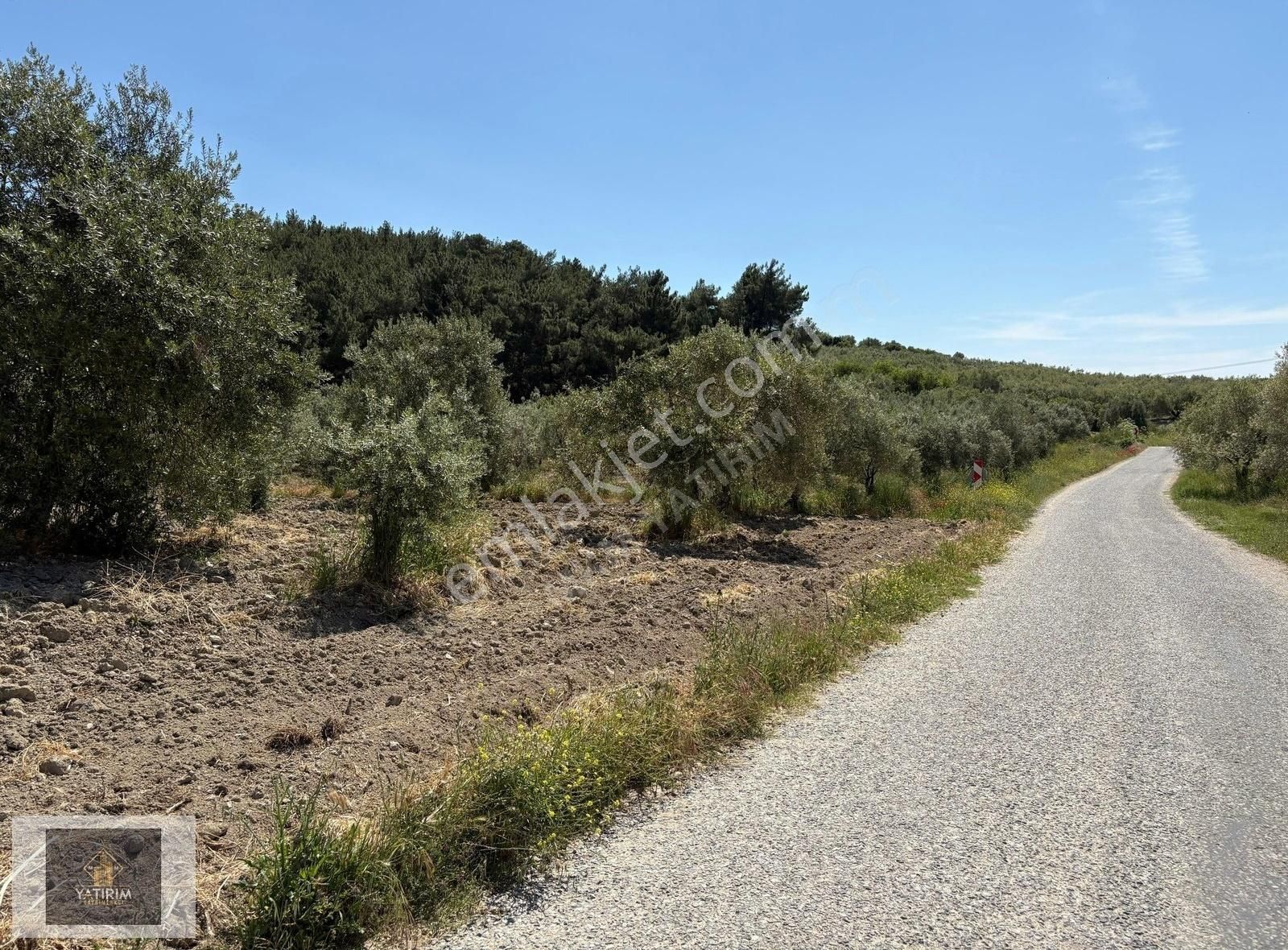Manisa Akhisar Süleymanköyde Ana Asfalt Üzeri 9.700 M2 Arazi