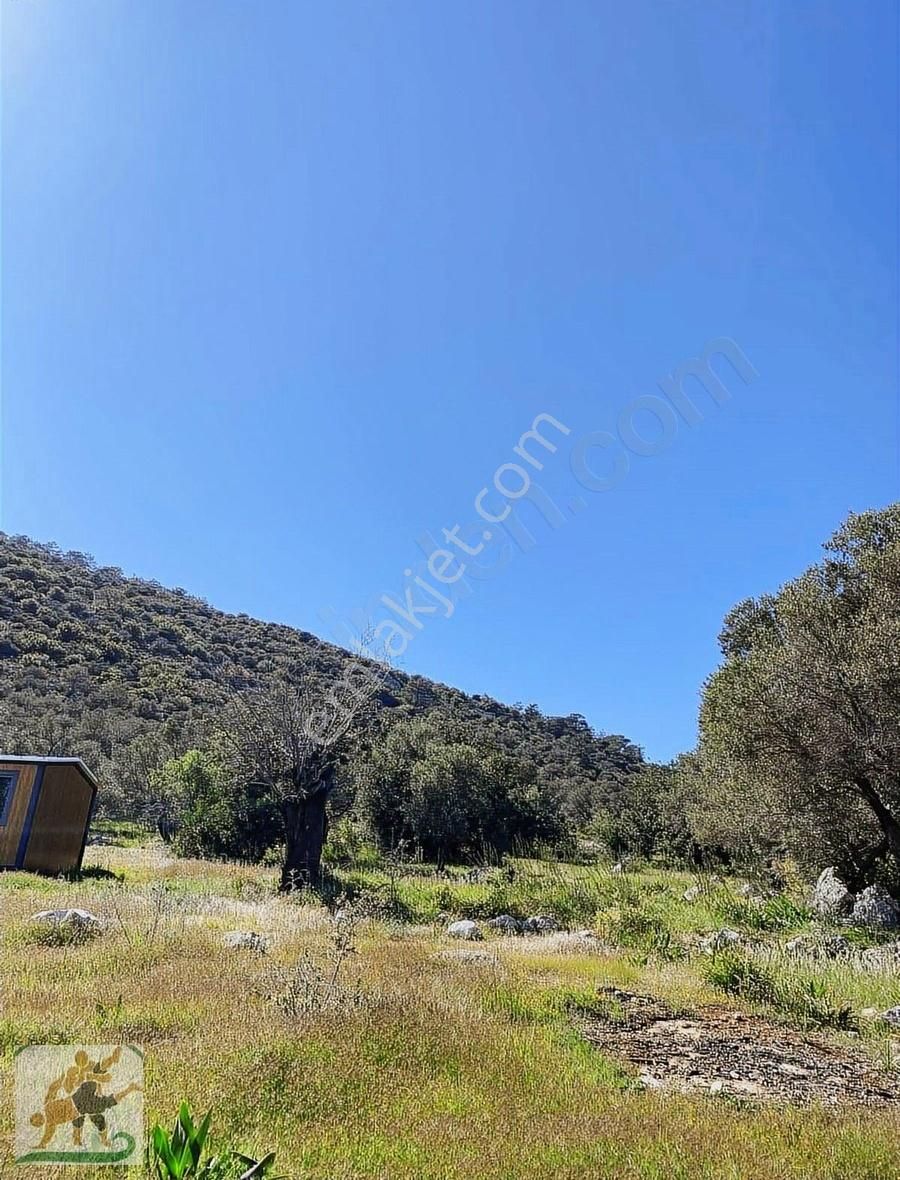 Kaş Kalkan Yeşilköy Ful Deniz Manzara 500 M2 2b Parseller