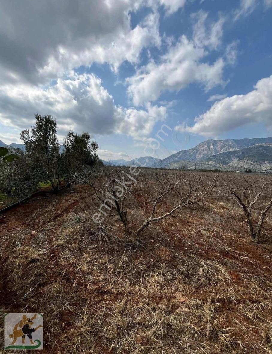 Döşemealtı Orta Mahalle İmar Sınırında 11.307 M2 Rıza-i Taksimli