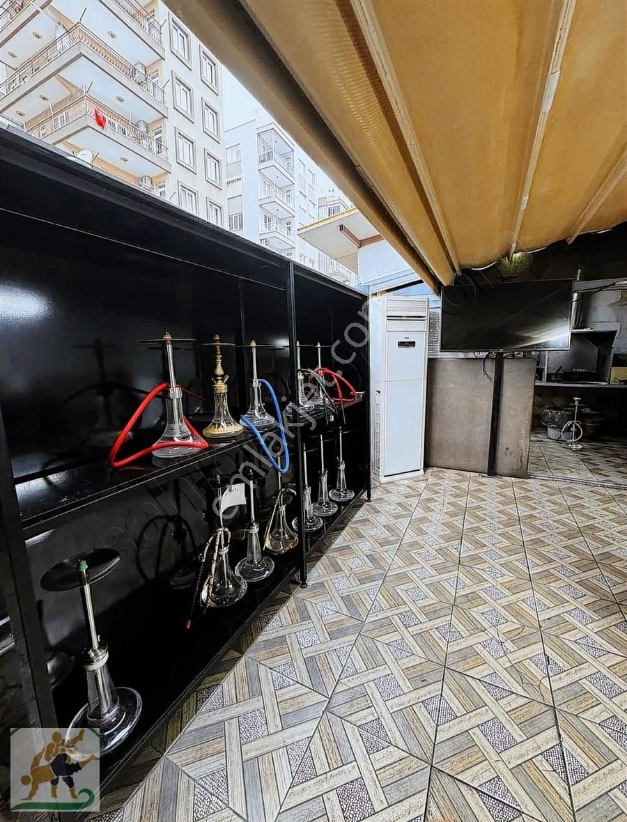 Devren Günlük Cirosu Yüksek Nargile Ve Alkol Ruhsatlı Kafe