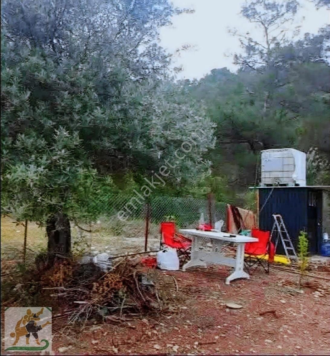 Döşemealtı Karaman 350 M2 Herkezin Yeri Belli Telle Çevrili