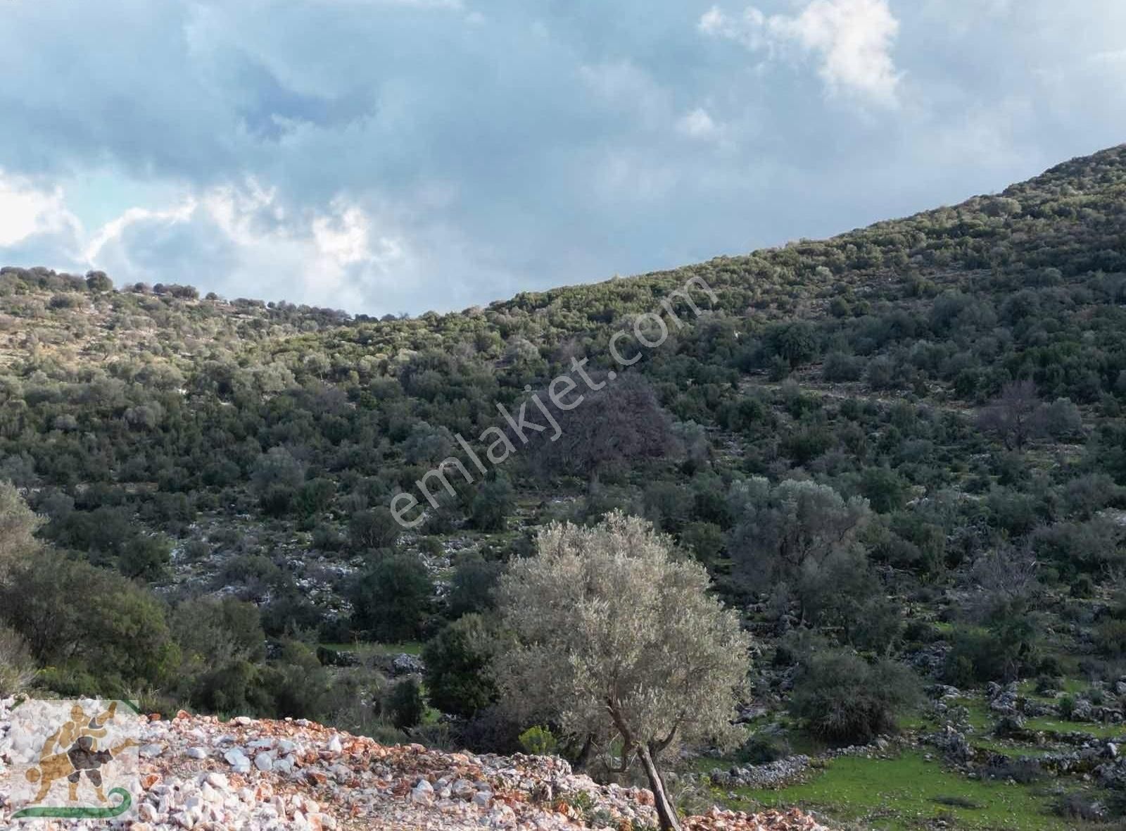 Fethiye Seydikemer Dodurga 580 M2 Tapulu Arazilerimiz Satılık