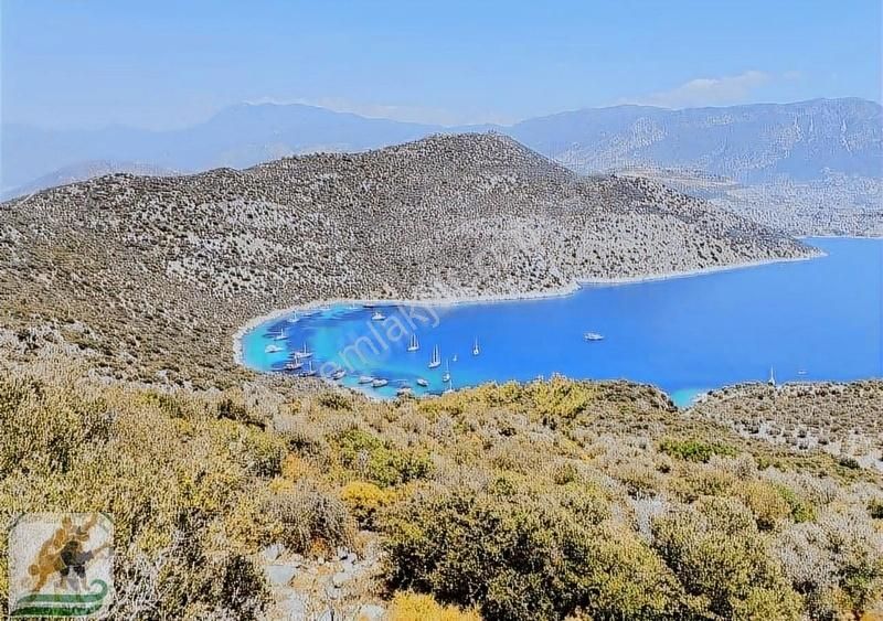 Fırnaz Koyunda 1500 M2 Hisse Fiyat Emsalsiz Piyasanın En Uygunu