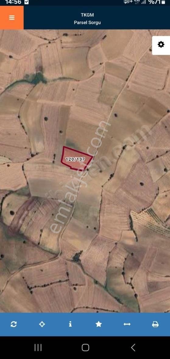 6600m Resmi Yola Cepheli Düz Gibi Ekilip Biçilen Hobi Köye 1kmci