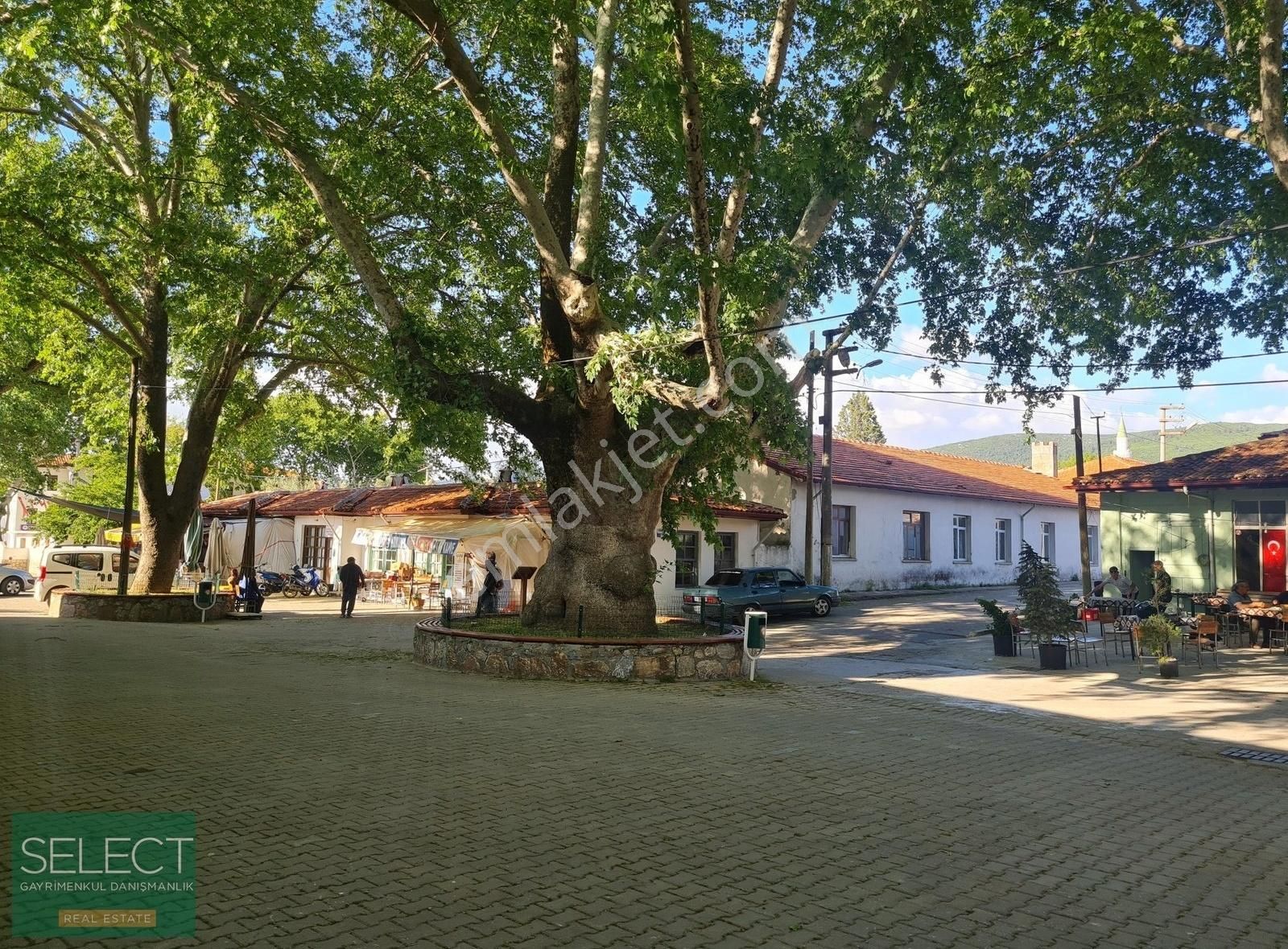 Muğla Yeşilyurt Köyünde 917 M² Yola Cepheli Satılık Tarla