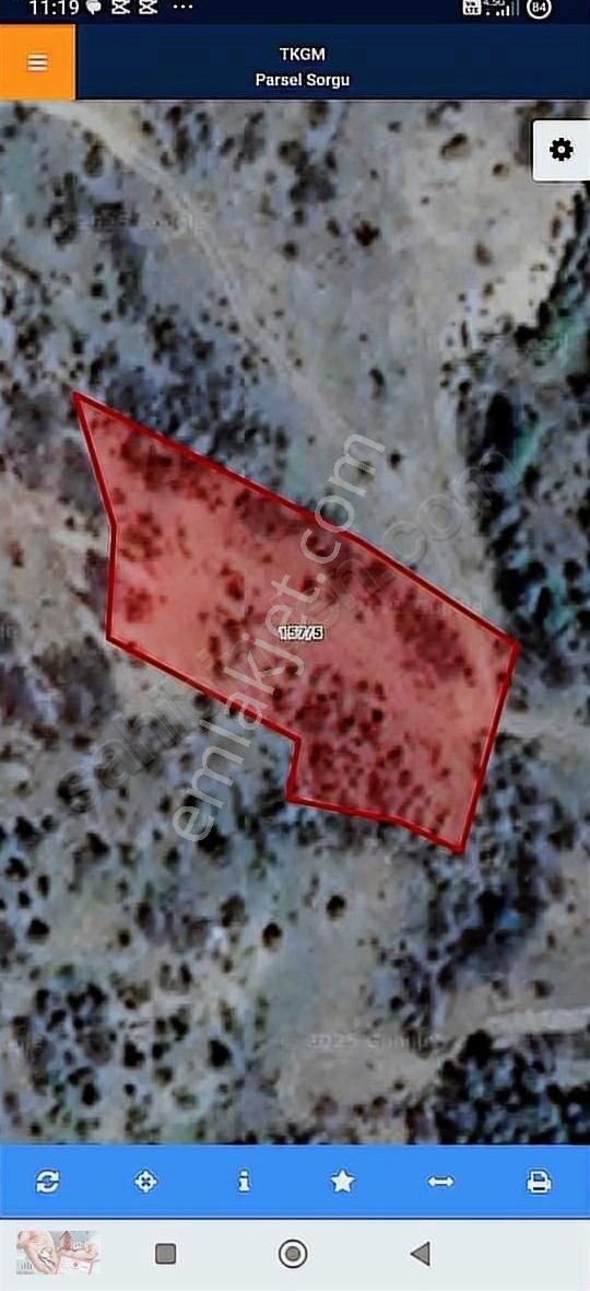 Bolu Seben Gokhalil Ler 2160 M2 Satilik Tarla