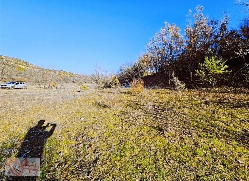 Bolu Seben Susuz 640m Satılık Tek Tapu Tarla