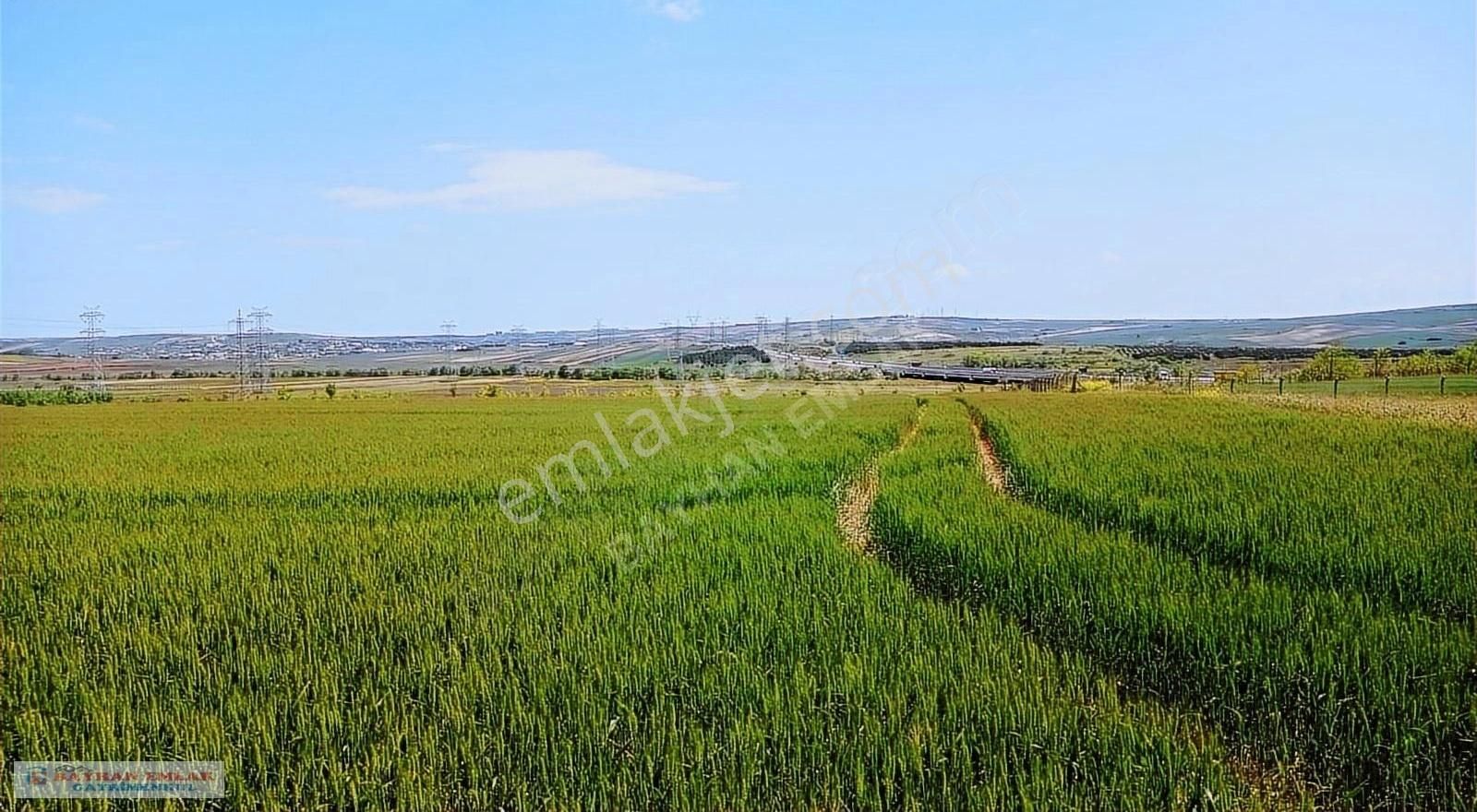 Çatalca İzettin De Acil Satılık 24.413 M2 Tarla - Görsel 25