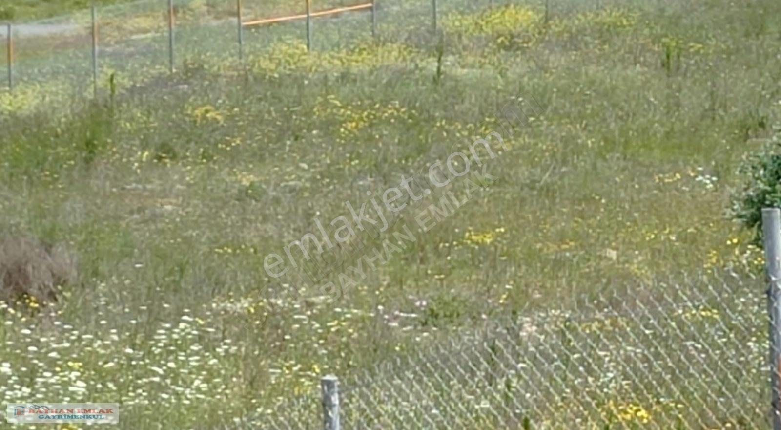 Çatalca İzettin De Acil Satılık 24.413 M2 Tarla - Görsel 26