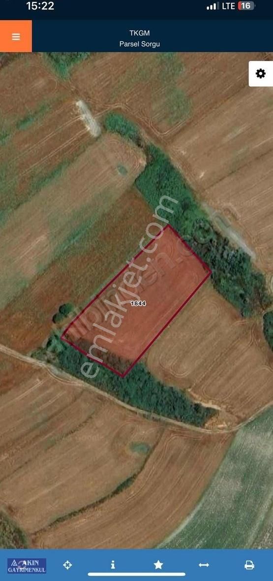 Lüleburgaz Çiftlik Köyde 300m2 Satılık Tarla