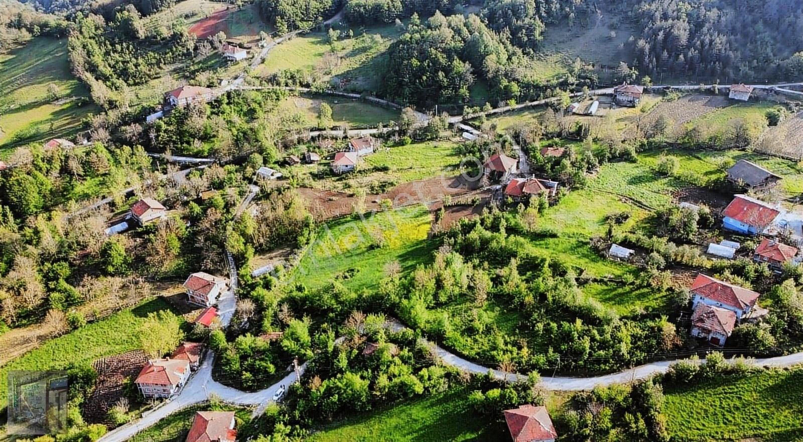 Şahane Fırsat!!!!