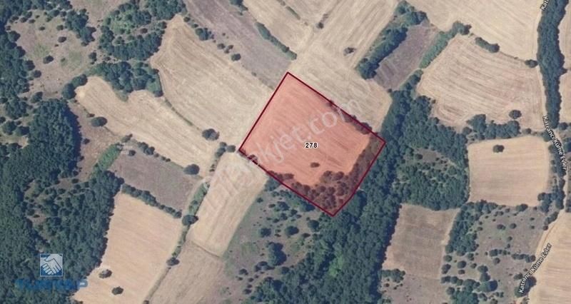 Çanakkale Biga Katrancı Köyü 8.040m2 Satılık Tarla