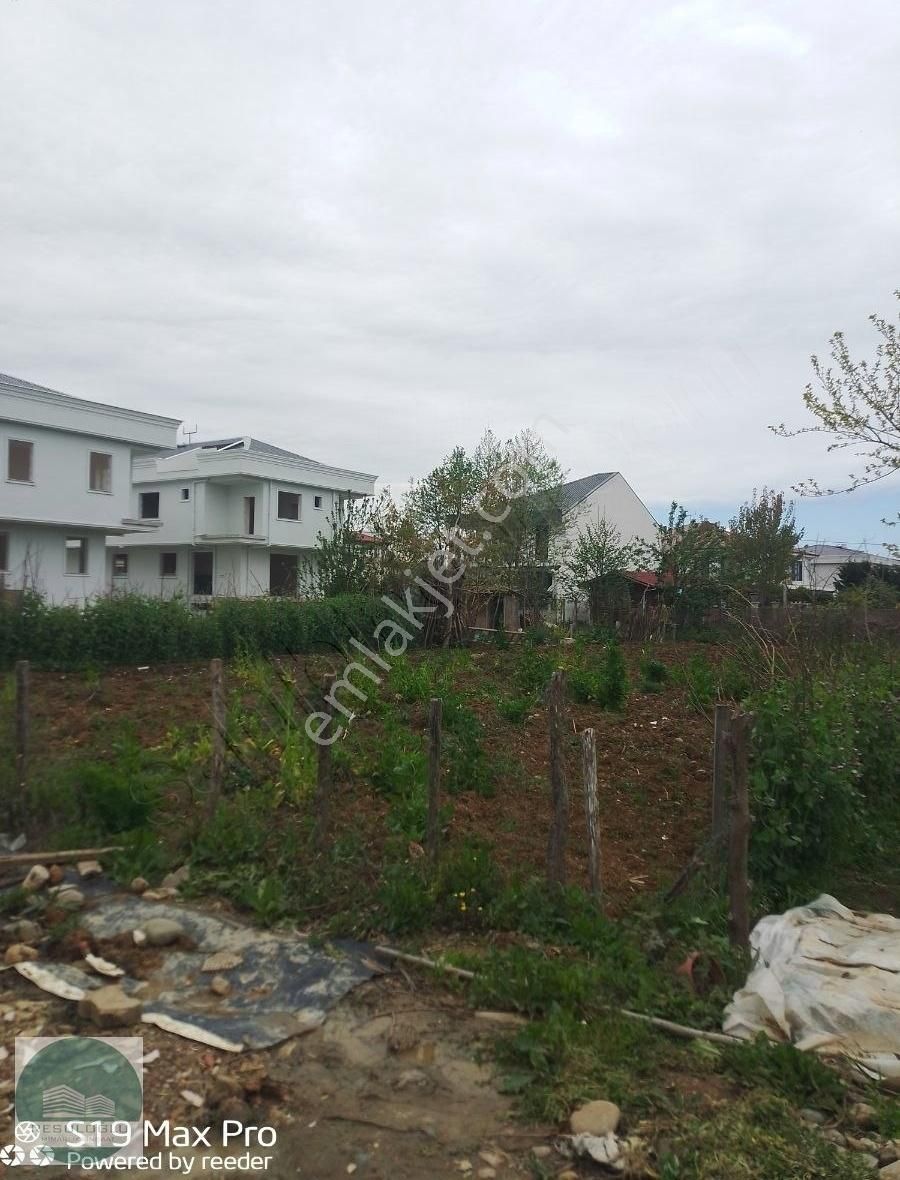 Ordu Turnasuyunda Denize 50 Mt Villa Arsası