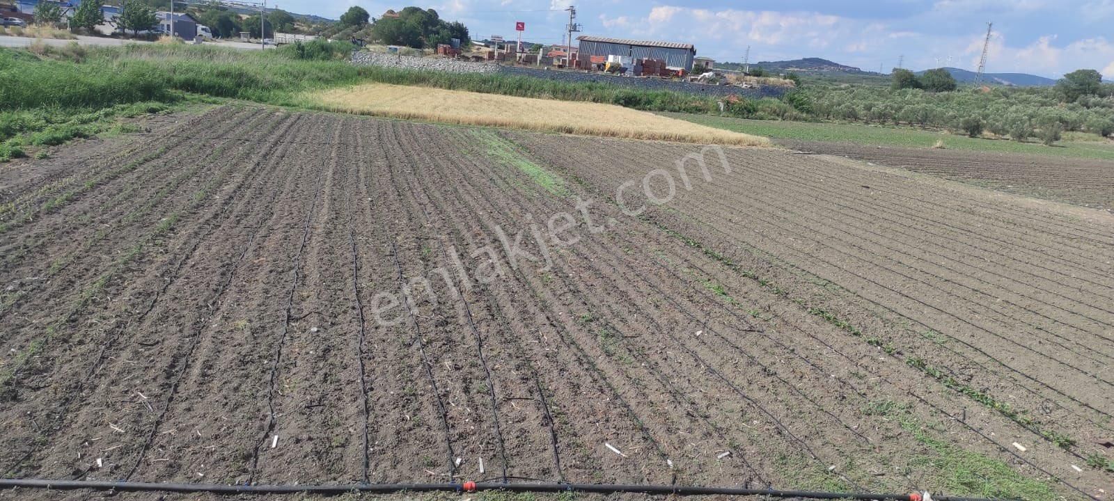 Güvenler Emlaktan Savastepe Yol Çatı Ana Yola Sıfır Satılık Muhteşem Yer