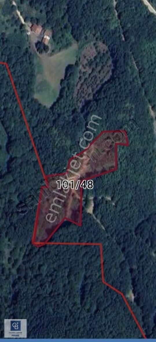 Başiskele Serindere De Boztaş Mevkii 9152m2 Tarla