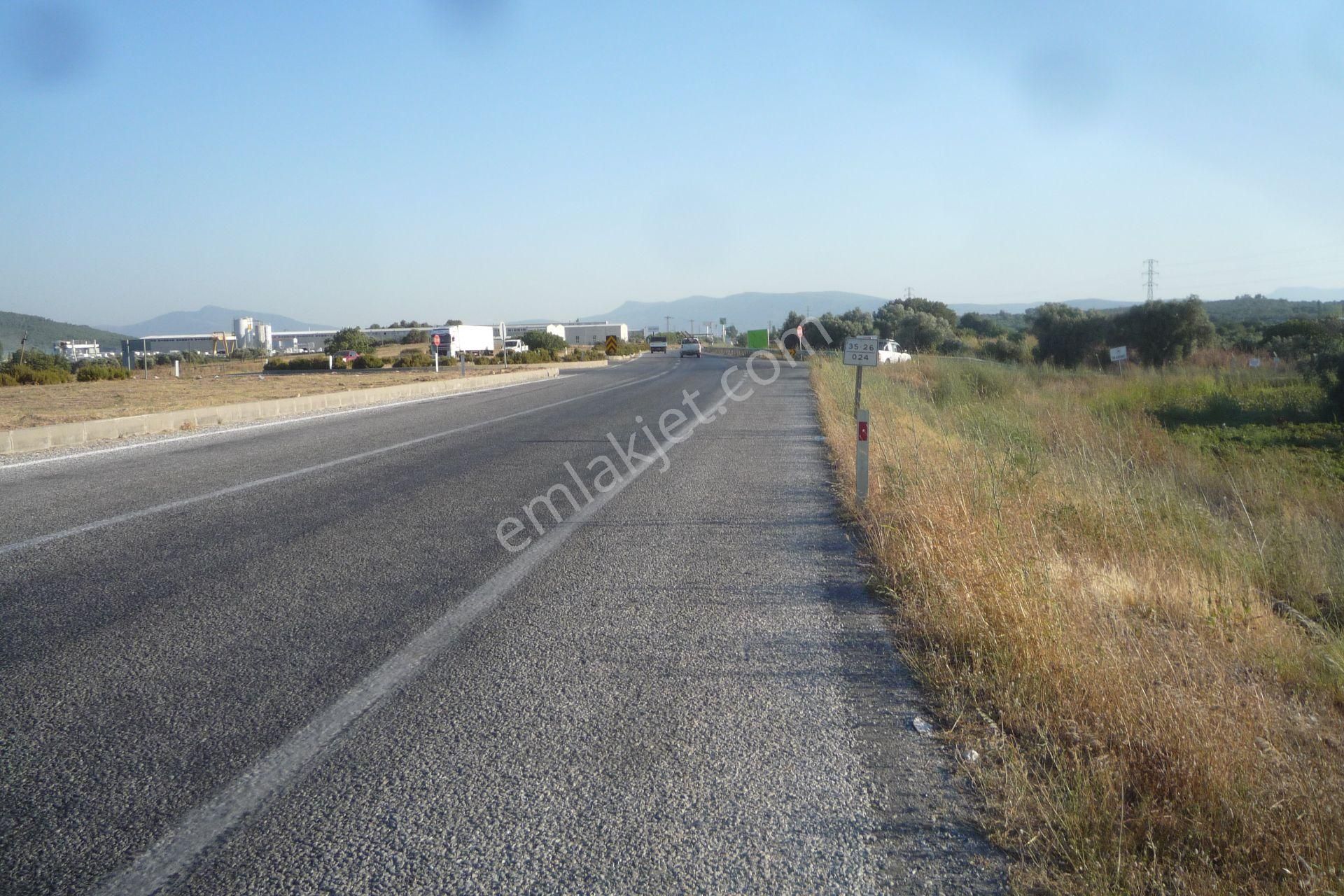 İzmir Torbalı Gold Emlaktan Satılık Meyve Bahçesi Ve Tarla - Görsel 18