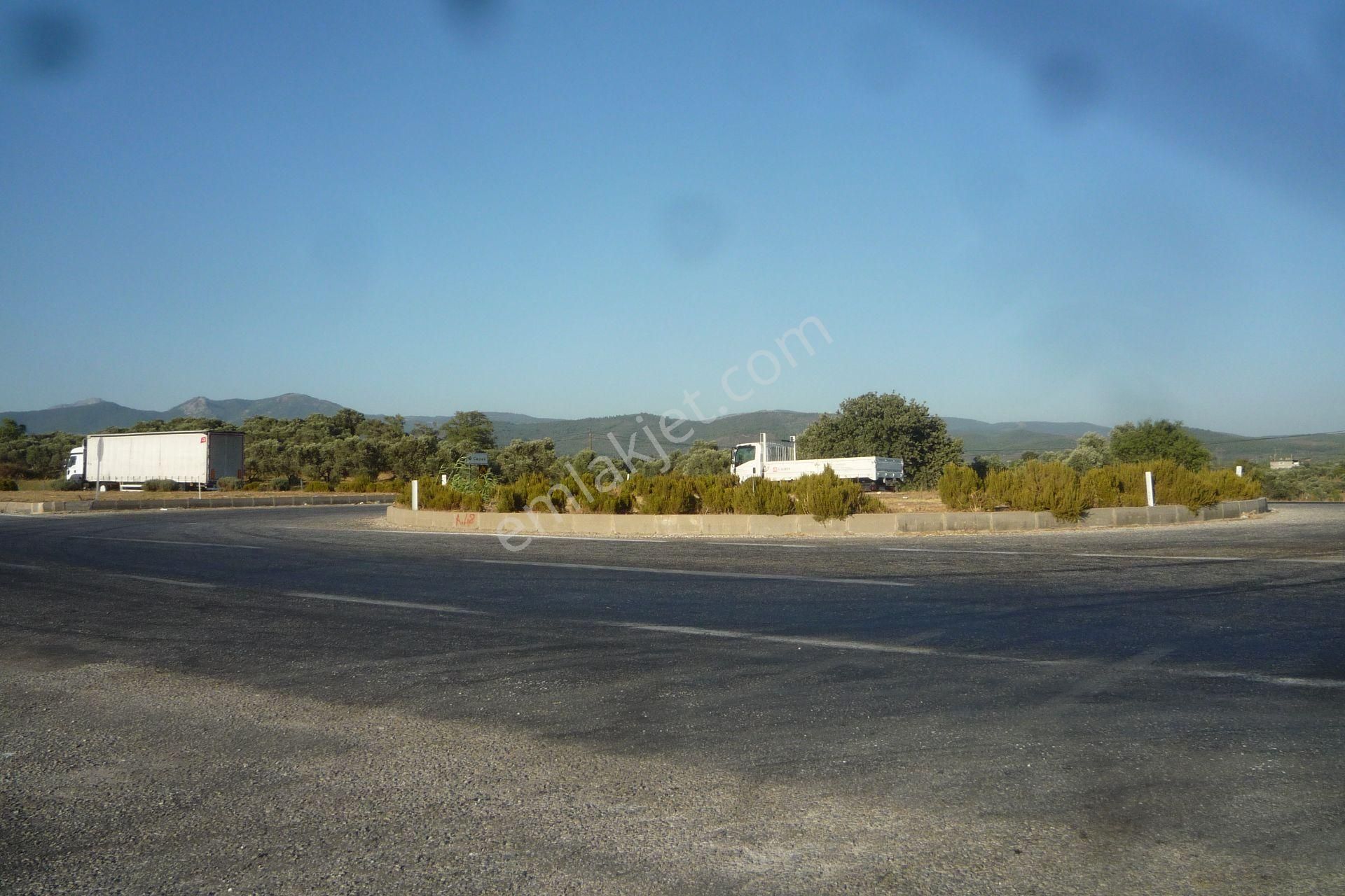 İzmir Torbalı Gold Emlaktan Satılık Meyve Bahçesi Ve Tarla - Görsel 3