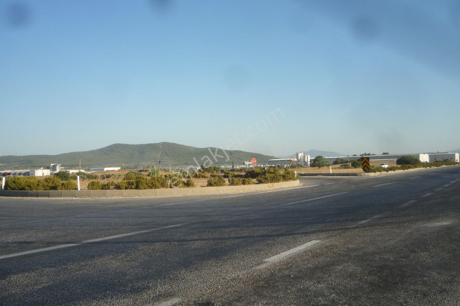 İzmir Torbalı Gold Emlaktan Satılık Meyve Bahçesi Ve Tarla - Görsel 12