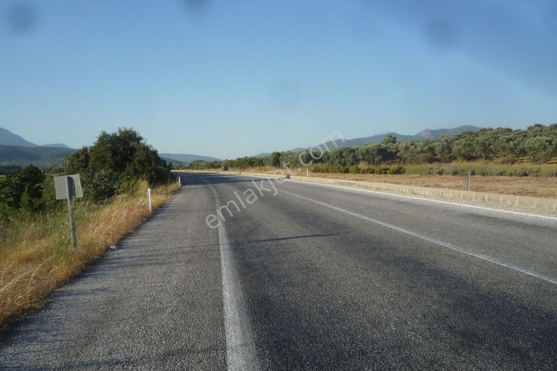 İzmir Torbalı Gold Emlaktan Satılık Meyve Bahçesi Ve Tarla - Görsel 16