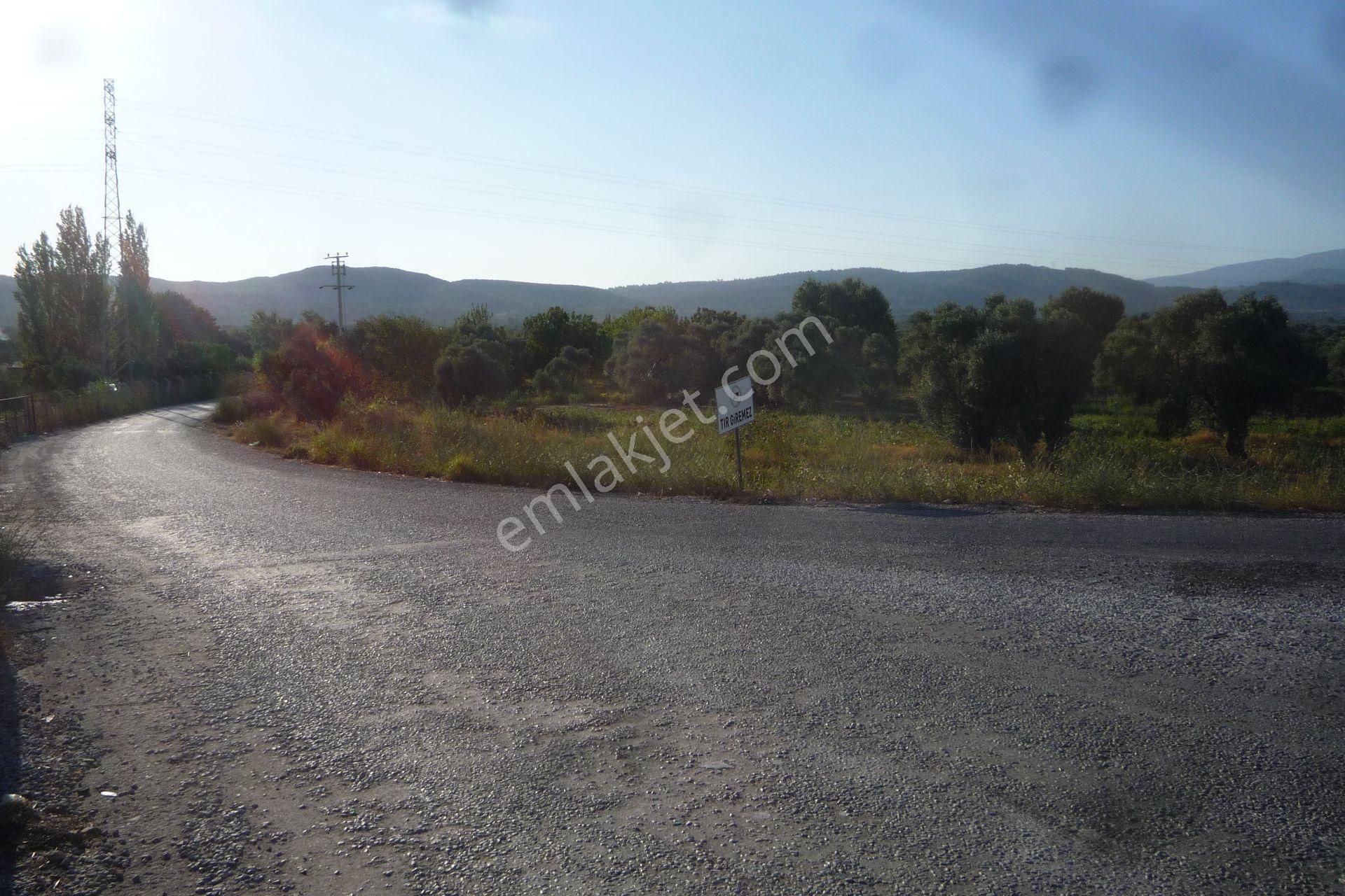 İzmir Torbalı Gold Emlaktan Satılık Meyve Bahçesi Ve Tarla - Görsel 2