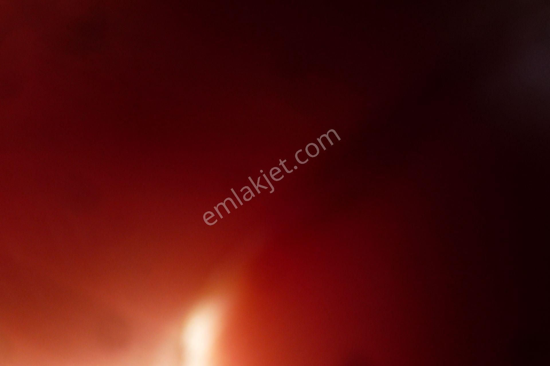 İzmir Torbalı Gold Emlaktan Satılık Meyve Bahçesi Ve Tarla - Görsel 23