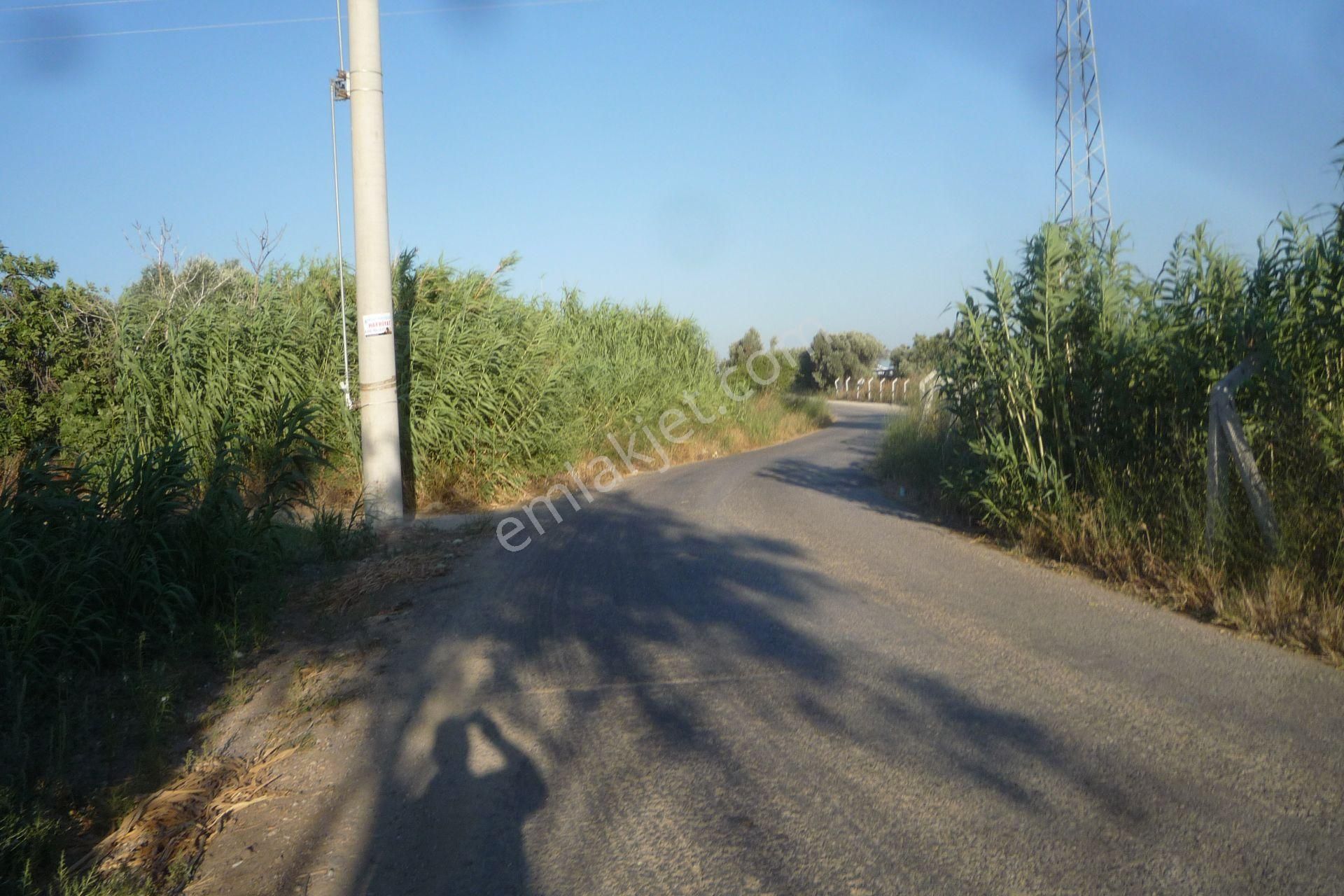 İzmir Torbalı Gold Emlaktan Satılık Meyve Bahçesi Ve Tarla - Görsel 24