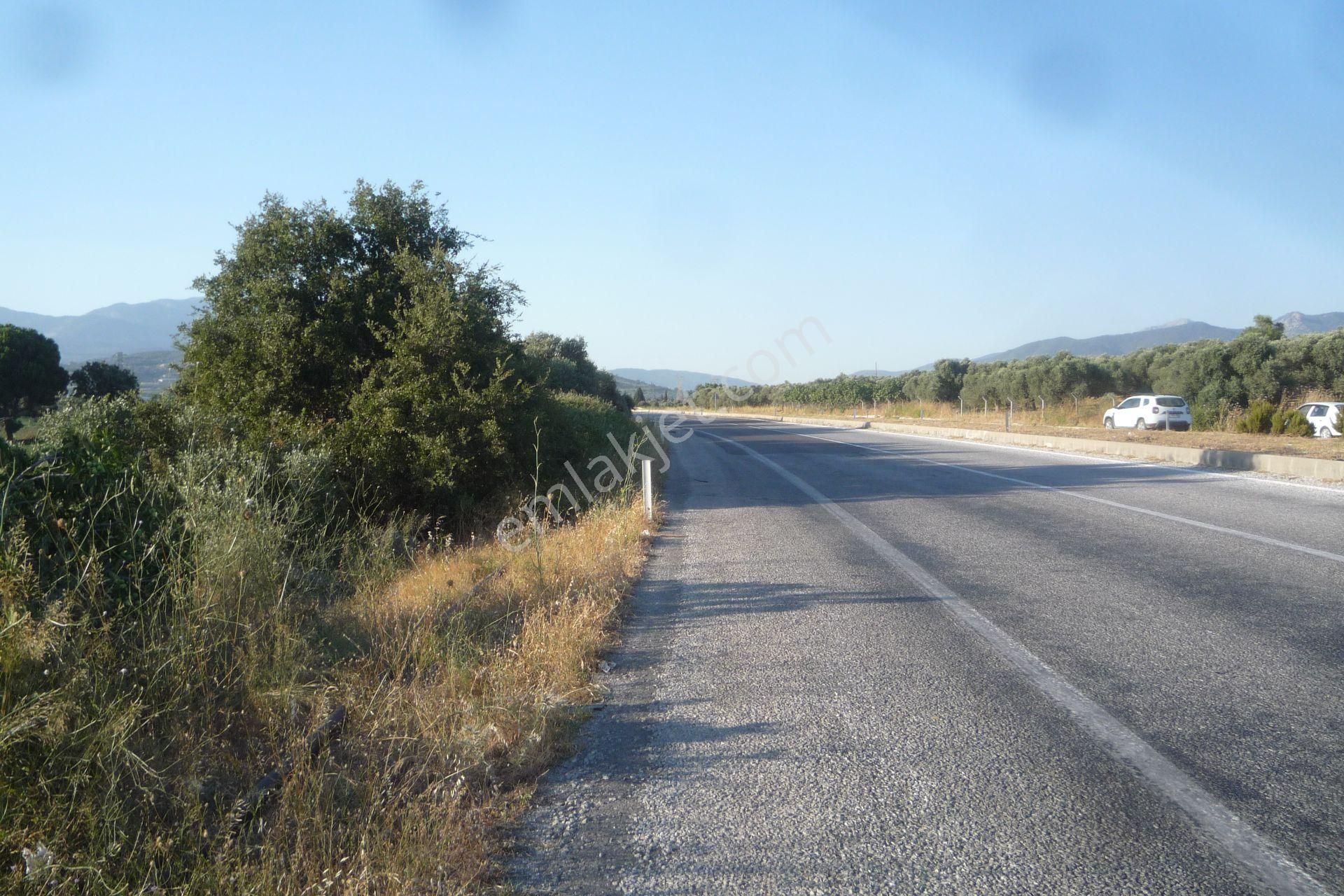 İzmir Torbalı Gold Emlaktan Satılık Meyve Bahçesi Ve Tarla - Görsel 17